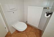 TOPLAGE, BÖRSE-NÄHE, klimatisierte 157 m2 Maisonette mit 18 m2 Terrasse, 4 Zimmer, Küche, Wintergarten, 2 Bäder, Zelinkagasse