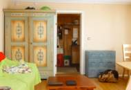 TOLLES GRUNDSTÜCK MIT KLEINGARTENHAUS! EIGENGRUND!