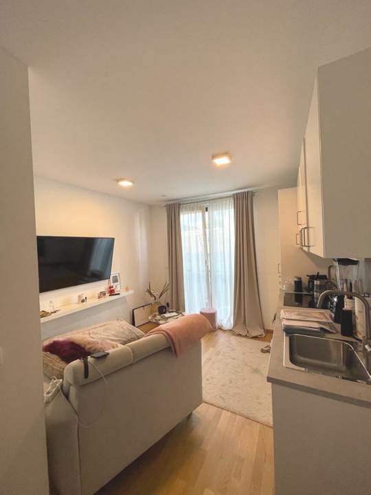 Wohlfühlwohnung / günstige Erdwärmeheizung / Fußbodenkühlung