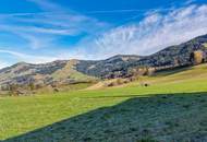 Neubau-Chalet mit Freizeitwohnsitz in sonniger Ruhelage