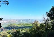 Liebe zur Nostalgie: Historische Villa am Kahlenberg mit Blick über Wien
