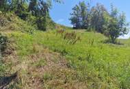 Traumhaftes, ca. 3.109 m² großes Baugrundstück mit Blick auf die Karawanken im Bezirk Völkermarkt