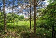 ZWEI WOHNHÄUSER - TRAUMHAFTER BUNGALOW UND KLEINES SOMMERHAUS SAMT PARKÄHNLICHEM GARTEN MIT HERRLICHEM ALTBAUMBESTAND