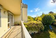 360 TOUR // GARTEN-WOHNUNG AM WILHELMINENBERG