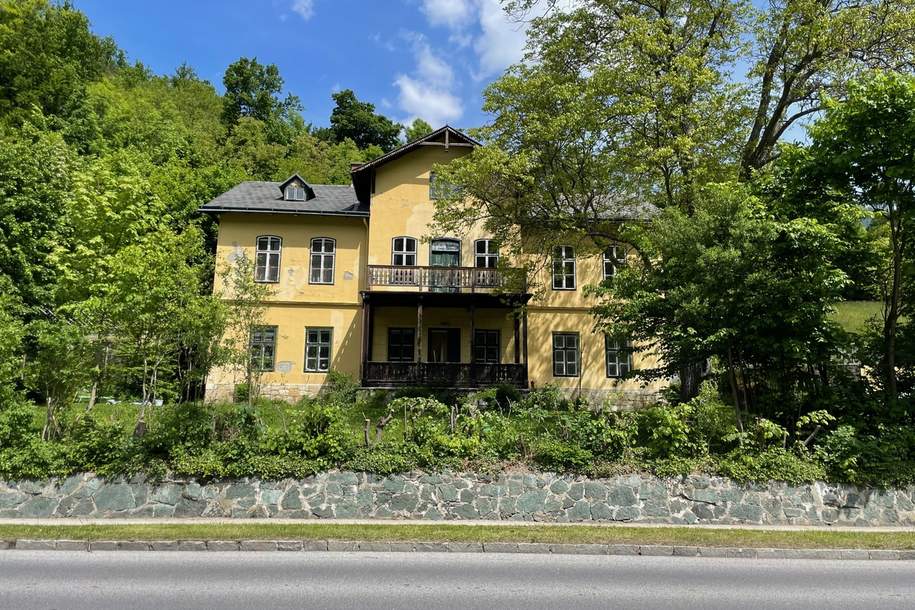 Gründerzeitvilla in Payerbach/Reichenau an der Rax mit Spuren der Vergangenheit, Haus-kauf, 698.000,€, 2650 Neunkirchen