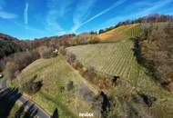 Preisanpassung !! Weingarten mit Landwirtschaft und Altbestand in Kranach, Gemeinde Gamlitz