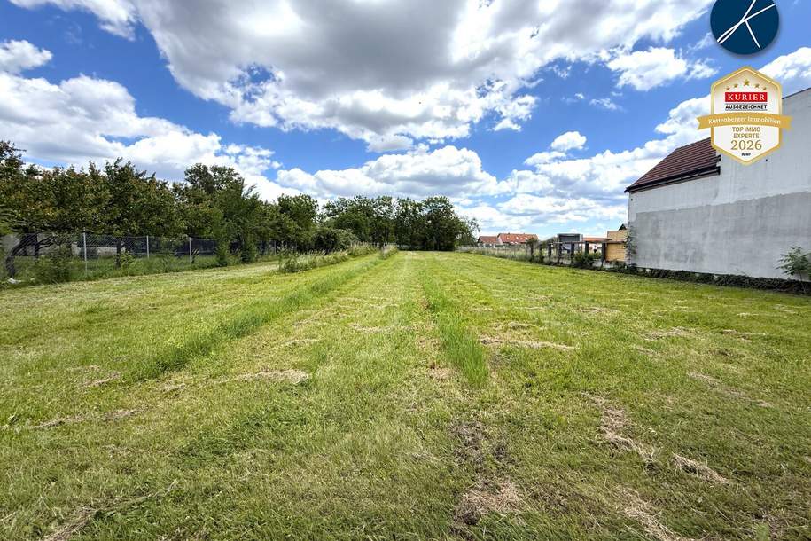 Großzügiges Baugrundstück am Kremser Stadtrand, Grund und Boden-kauf, 350.000,€, 3500 Krems an der Donau(Stadt)