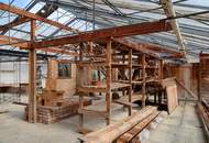 Grundstück mit alter Gärtnerei und Altbestand