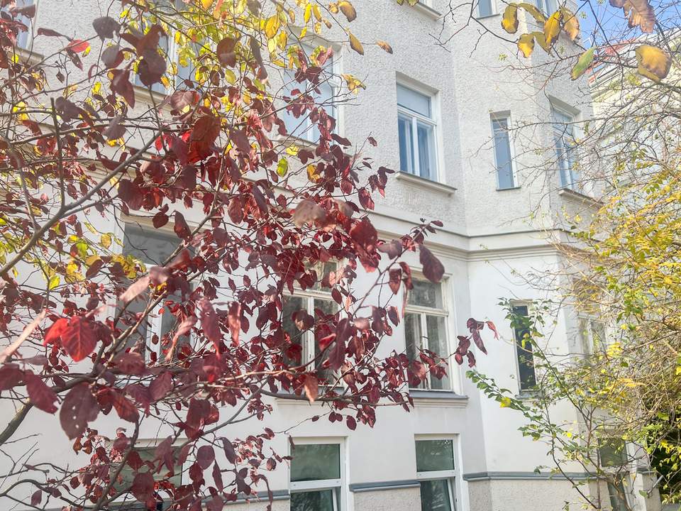 Großzügige Etage im Jugendstilhaus in Sievering
