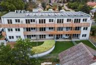 "Provisionsfrei für den Käufer - 1 Zimmer Gartenwohnung" "