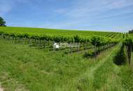 ETW mit großer Terrasse- Erstbezug! Münichsthal im Weinviertel- 12km zur Grenze Wiens!!!