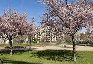 Zur Ruhe kommen, im Kirschblütenpark