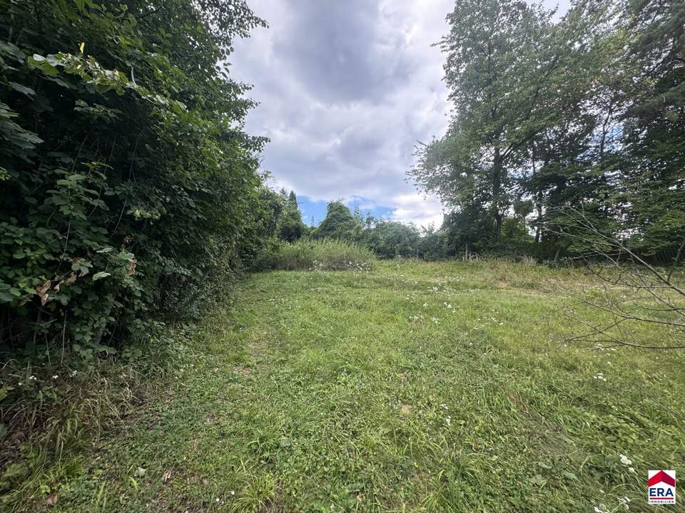 Preisreduktion - Traumhaftes Baugrundstück in idyllischer Lage von Kirchbach, Niederösterreich - Perfekt für Ihr Eigenheim!