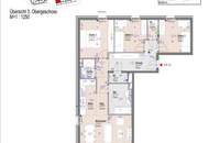 ERSTBEZUG "ein viertel grün" in Wr. Neustadt - 4 Zimmer Traum für Familien