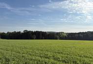 Ehem. Landwirtschaft mit ca. 8,2 ha LN zwischen Aurolzmünster und Andrichsfurt