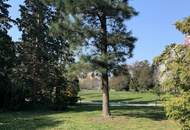 Ruhig gelegene Wohnung beim Kongreßpark mit großer Innenhof-Terrasse!