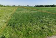 Ortsrandlage 2 Grundstücke mit ~ 2 ha 6,5 € / m² FP