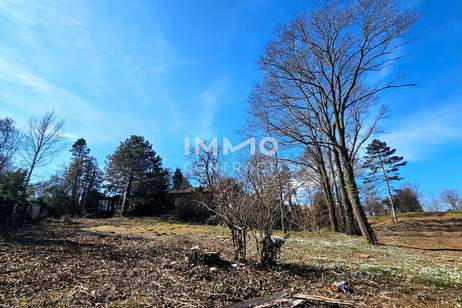 Bauträger oder Privatperson: Traumhaftes Grundstück mit Altbaumbestand in ruhiger Lage - teilbar, Grund und Boden-kauf, 2.247.400,€, 2425 Neusiedl am See