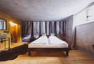 Zwei Bergchalets mit 4 Apartments in Hinterstoder