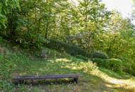 Großzügiges Wohnen im Wienerwald - mit unverbaubarem Ausblick!