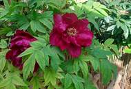 Ein Ruhepol mit 80 m² Garten - Großzügige 2-Zimmer-Gartenwohnung