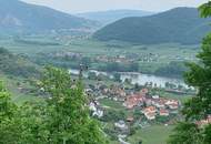 WEINGARTEN IN AUSSICHTSLAGE - WEINGARTEN, LANDWIRTSCHAFTLICHE FLÄCHEN - KEIN BAUGRUNDSTÜCK!