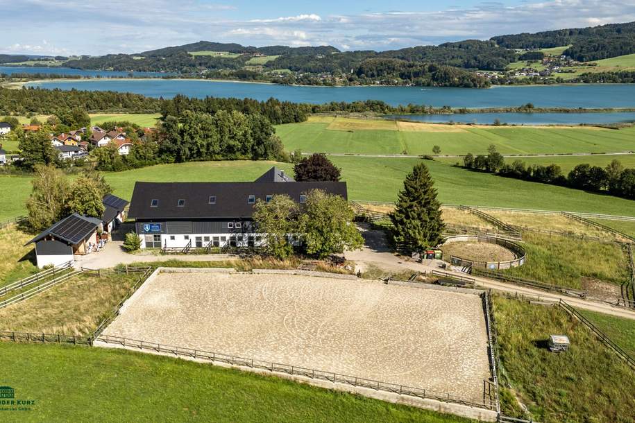 Exklusive REITERHOF in einzigartiger Alleinlage im Salzburger Seenland, Gewerbeobjekt-kauf, 3.100.000,€, 5164 Salzburg-Umgebung