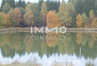 Großes Grundstück mit Fischteich und Badeteich, Erholungsanlage, Freizeitparadies mit viel Potenzial