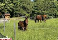 PROVISIONSFREI kaufen! Modernes Einfamilienhaus auf sonnigem Grund– Wohnen naturnah mit Weitblick