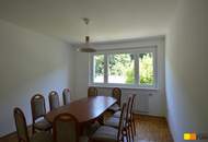 Spacious house with dreamy garden