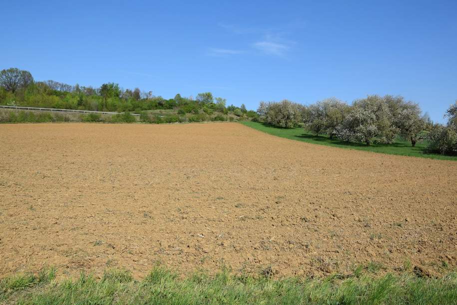 Betriebsgebiet - Grundstück in Oberwart – Große Wertsteigerung möglich! (Provisionsfrei), Grund und Boden-kauf, 297.000,€, 7400 Oberwart