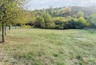 Großes naturnahes Grundstück, Ortsrandlage, 2.061 m2
