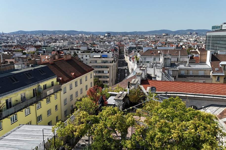 Ca. 55 m² Terrassen I grüner Dachgarten mit Blick über Wien I exklusives DG ohne Dachschrägen, Wohnung-kauf, 1.490.000,€, 1040 Wien 4., Wieden