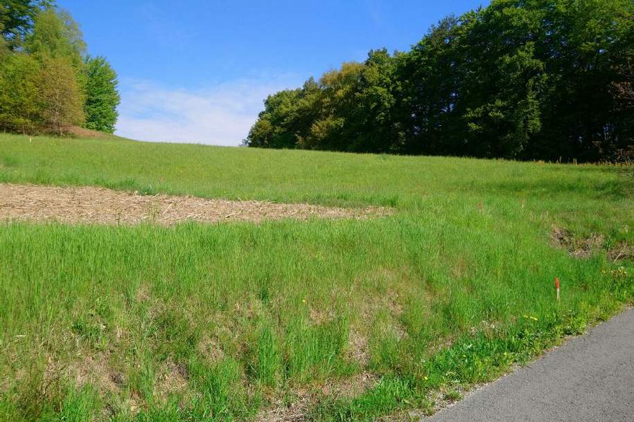 Tolles aufgeschlossenes Baugrundstück, Grund und Boden-kauf, 114.931,€, 8081 Südoststeiermark