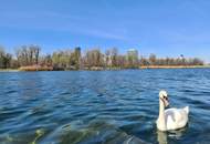 Reihenendhaus nahe Alte Donau und Donauzentrum