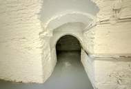 1190! Büro im renovierten Winzerhaus