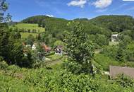 Naturverbundenes Baugrundstück mit traumhaftem Ausblick in Aspang