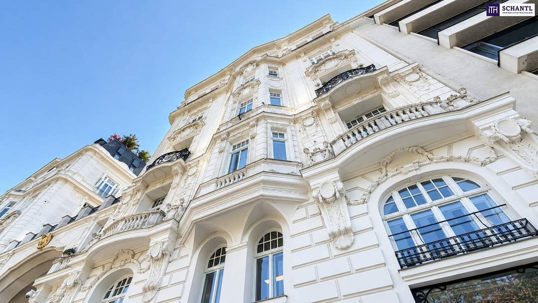 Inkognito-Wohnung mit WOW-Effekt – stilvoller Altbau nähe Belvedere