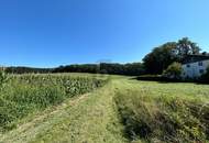 TOP ANLAGE OBJEKT ODER ZUR SELBSTVERWIRKLICHUNG, OHNE BAUZWANG!