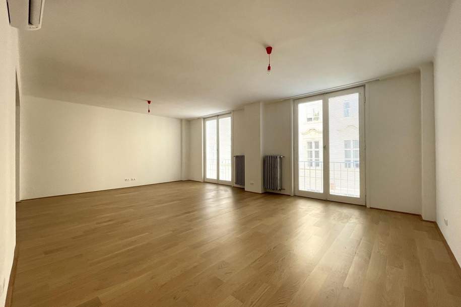 Büronutzung möglich! Generalsaniertes (2022) Wohn-Büro im City Center!!! HOCHHAUS HERRENGASSE!!!!, Gewerbeobjekt-miete, 3.570,00,€, 1010 Wien 1., Innere Stadt