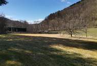 Traumhaus in der Steiermark mit Bergblick, Fernblick in 8244 Schäffern