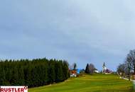 Baugrundstück im Ausmaß von 1.784 m² mit Almcharakter Naturparadies Lavanttal