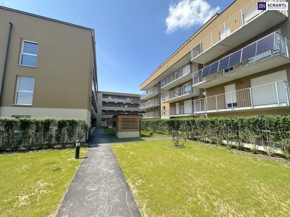 Letzte ECKWOHNUNG mit besonders viel Privatsphäre! Genießen Sie herrliche Sommertage in Ihrem idyllischen Eigenarten - viele weitere Wohnungen auch mit Balkon verfügbar!