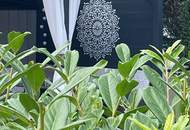 +++ Idyllisches Ferienhaus auf Pachtgrund ( NEUWERTIG ) in Oggau am Neusiedler See – Ihr Rückzugsort für nur 48.500 € +++