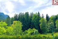 3-ZIMMER GARTENWOHNUNG mit HAUS-CHARAKTER - SCHÖNE AUSSICHT – GRÜNLAGE - nahe KATRIN-SEILBAHN