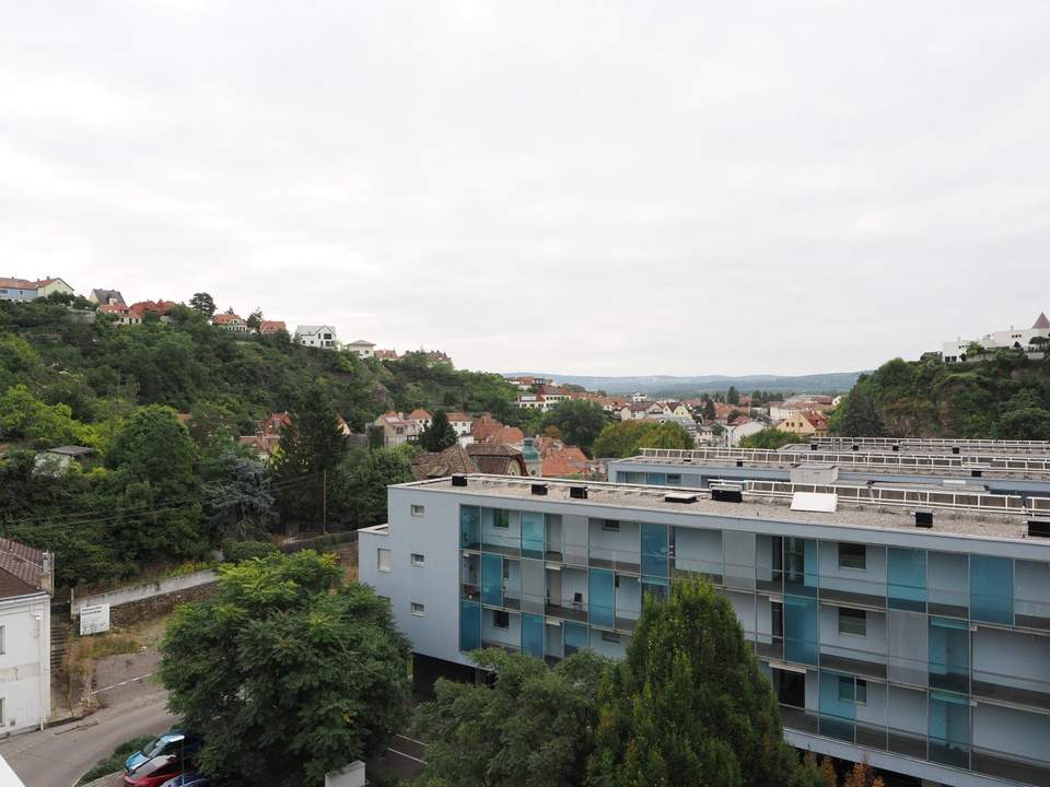 "Logenplatz auf Krems"