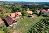 Ein eigenes Reich hoch über den Weinbergen in Plateaulage - alte weststeirische Baukultur trifft neue Ausbaumöglichkeiten
