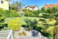 PALMEN, POOL und BARBEQUE