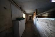 HISTORISCHER HOF IN DER GRÜNEN STEIERMARK: Ein Platz für große Pläne – von Landwirtschaft bis Pferdeparadies