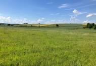 Baurechtsgrund, an Privatpersonen, auf 99 Jahre zu verpachten (Provisionsfrei)